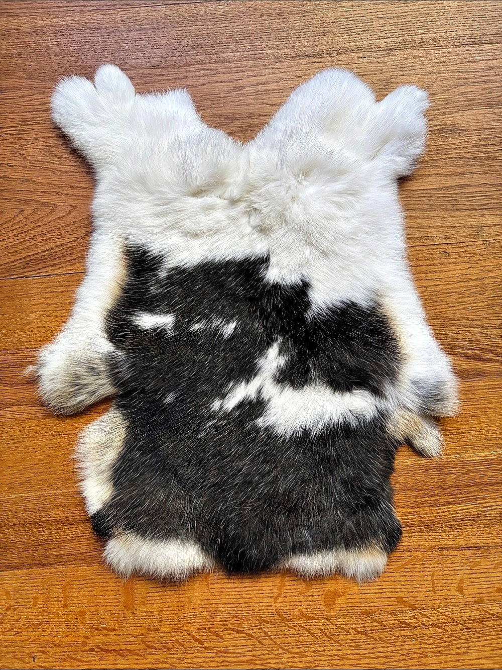 B0036 premium natural rabbit fur pelt craft supply new
